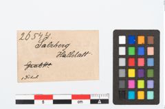 Etikett zu Bronzebogenfibel (NHMW-PRAE-026544)